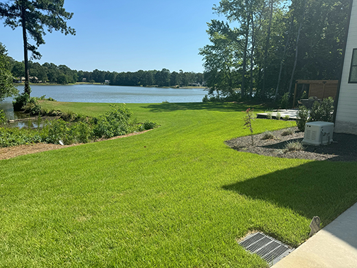 Zenith Raleigh Nc Zenith Zoysia Sod Installation In Raleigh & Cary, NC | Peak Sodding