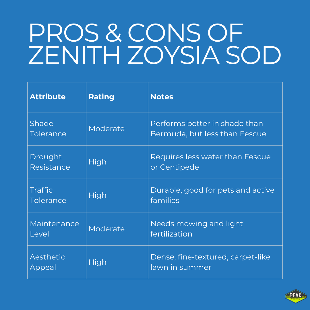 Zenith Raleigh Nc Zenith Zoysia Sod Installation In Raleigh & Cary, NC | Peak Sodding